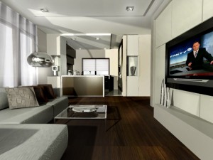 Willa Książkowa- 55m2